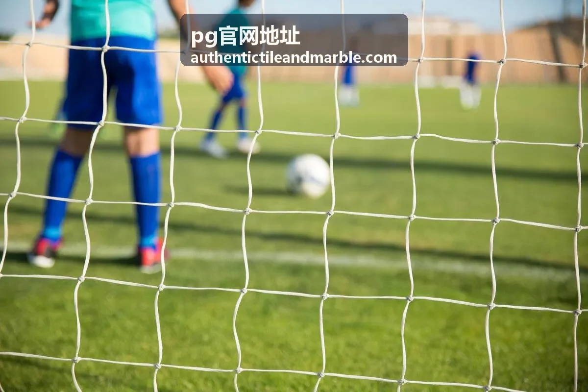 pg官网地址账号安全设置与验证要点示意