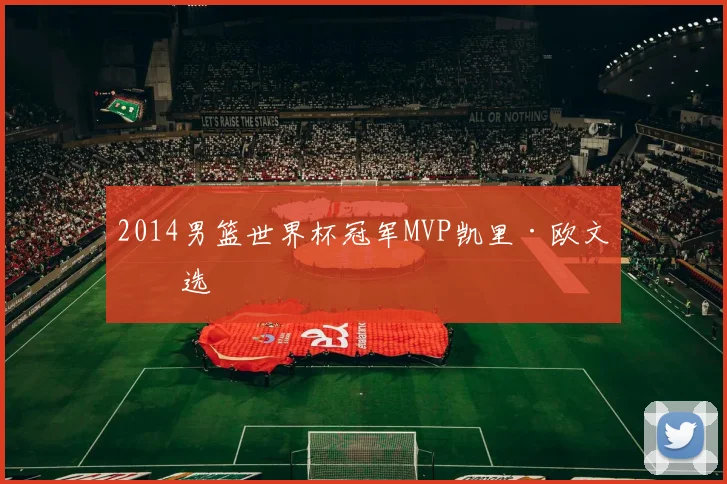 2014男篮世界杯冠军MVP凯里·欧文当选