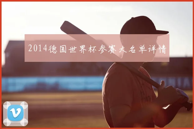 2014德国世界杯参赛大名单详情
