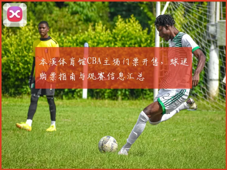 本溪体育馆CBA主场门票开售，球迷购票指南与观赛信息汇总