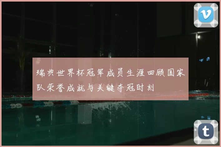 瑞典世界杯冠军成员生涯回顾国家队荣誉成就与关键夺冠时刻